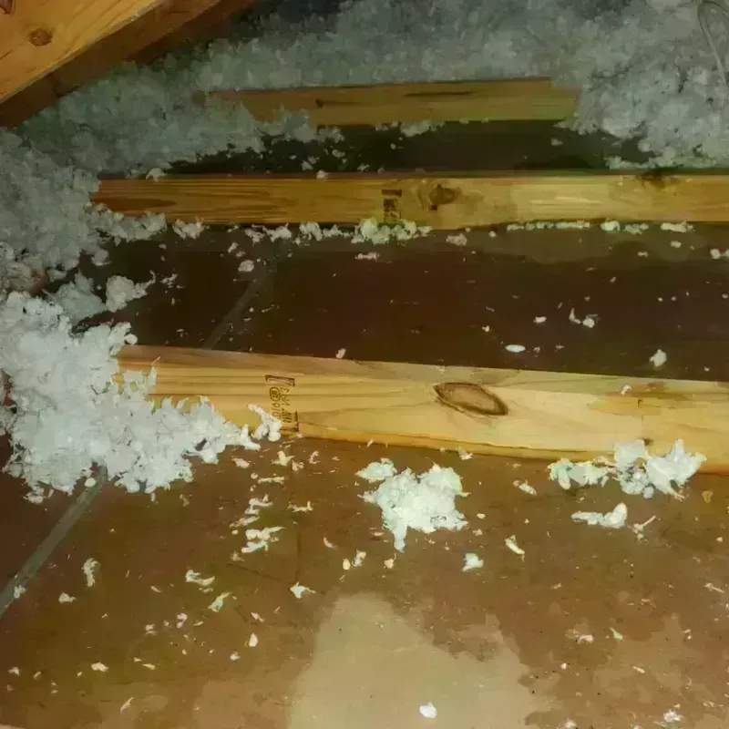 Attic Water Damage in Perkasie, PA